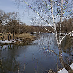 фото "Десна."