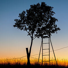 фото "Sonnenaufgang"