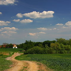 photo "Near Arača"