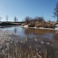 фото "Весенние картинки"