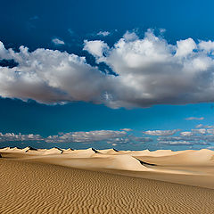 photo "Sand Dunes and textures"