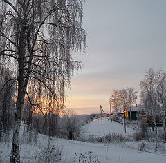 фото "Зимняя пастораль"