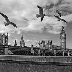 photo "London, UK"