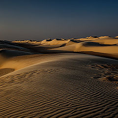 photo "Dunes 13"