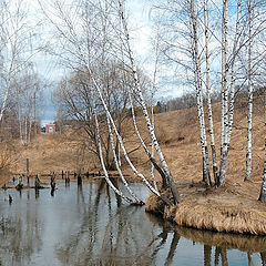 фото "АПРЕЛЬ"