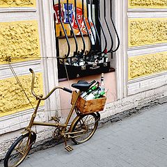 фото "из жизни велосипедов"