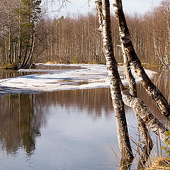 фото "Весенний разлив"