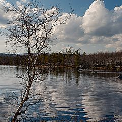 фото "Половодье"