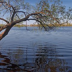 фото "Реки отраженье..."