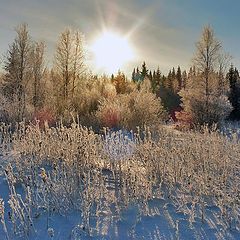 фото "мороз и солнце"