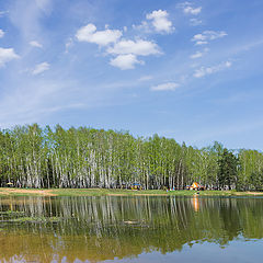 фото "Зазеленело"