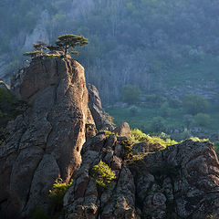 фото "В первых лучах"