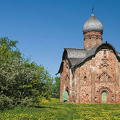 фото "Среди весеннего цветения"