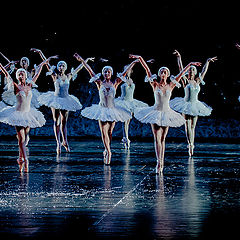 photo "Ballet Don Quichote"