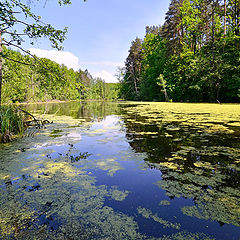 фото "Озеро"