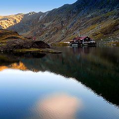 photo "An oasis of tranquility"