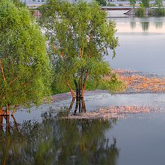 фото "Половодье"