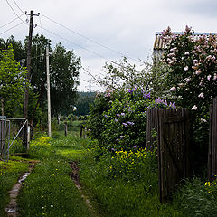 фото "Дачные калитки"