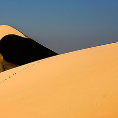 photo "Dunes 16"