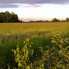 фото "Батурово."