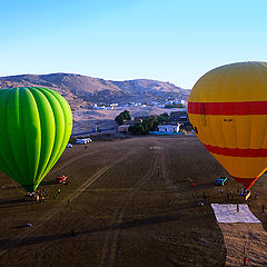 photo "Smooth landing"