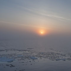 photo "Ladoga. May 25, 2013"