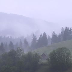 фото "Morning in Carpathian mountains"