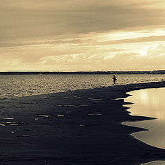 photo "Evening Coast."