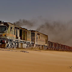 фото "The Train"