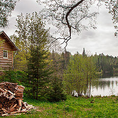 фото "Домик в лесу"