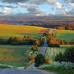 фото "краски лета"