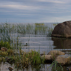 фото "пейзаж с камнем"