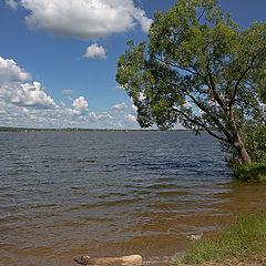 photo "From the series "Lake Senezh" (1)"