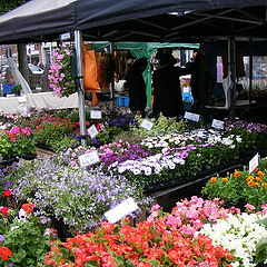 photo "Street market"