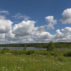 photo "From the series "Lake Senezh" (2)"