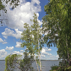 photo "From the series "Lake Senezh" (3)"