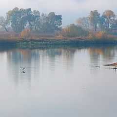 фото "Утро"