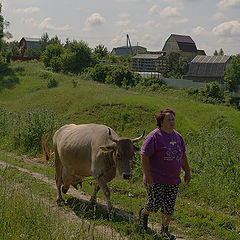 фото "Домой."