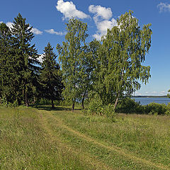 фото "Июньская зарисовка"