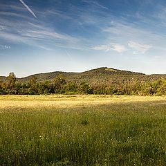 photo "Bald Mountain"