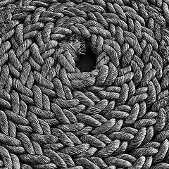 photo "rope"