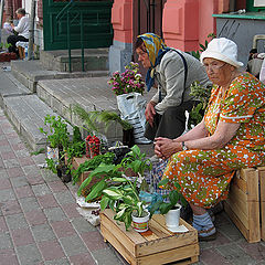 фото "Тоска"