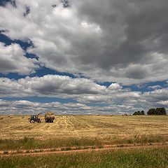 фото "Сбор рулончиков"