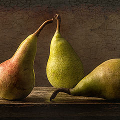 photo "Pears"