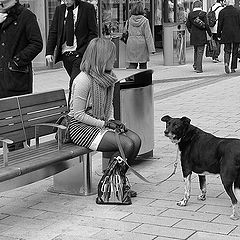 photo "Girl and dog"