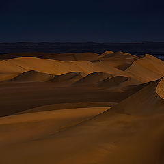 фото "Dunes 19"