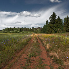 фото "Дорога в лес"