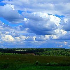 фото "Соло тени..."