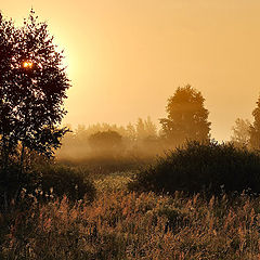 photo "Morning Light"