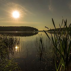 фото "Нижний Тагил"